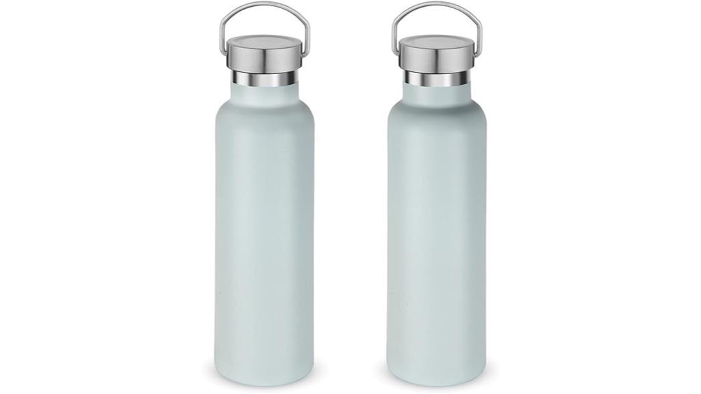20 oz insulated bottles
