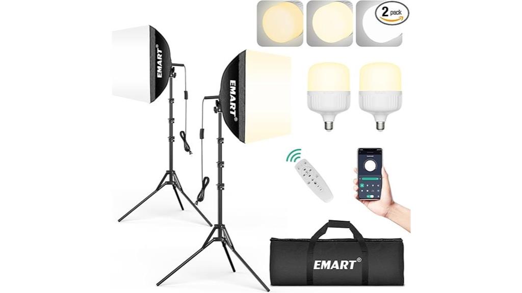 dual softbox photography lighting