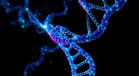 genetics as visual art