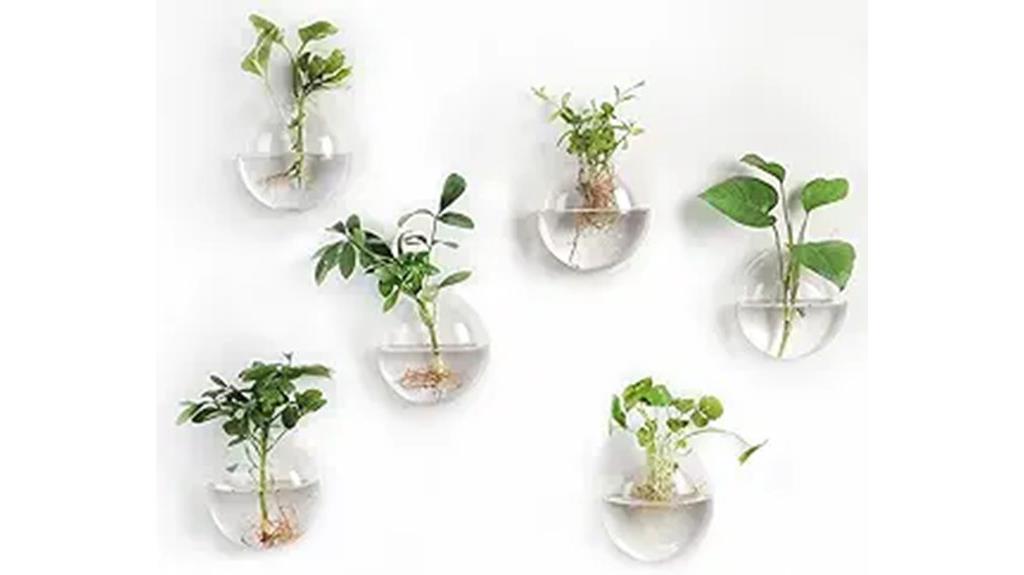 glass wall planters pack