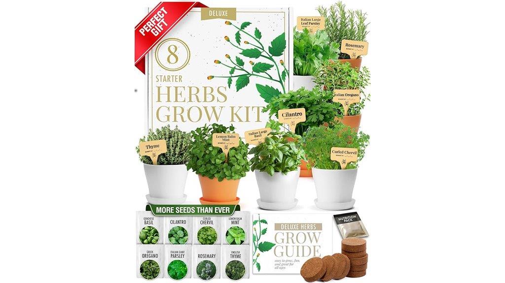 herb garden kit