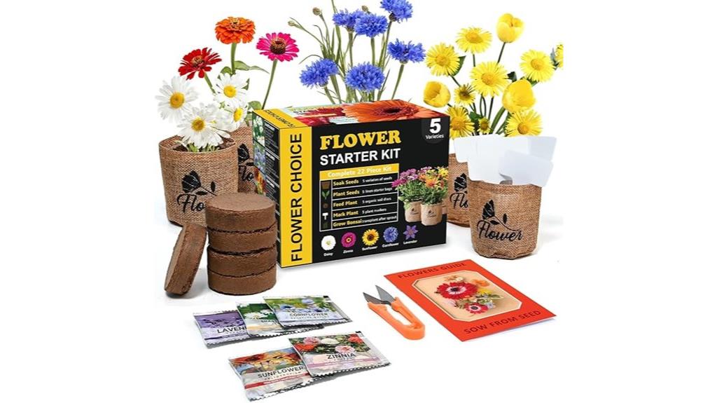 indoor daisy gardening kit