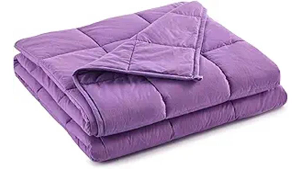 large 10lb weighted blanket