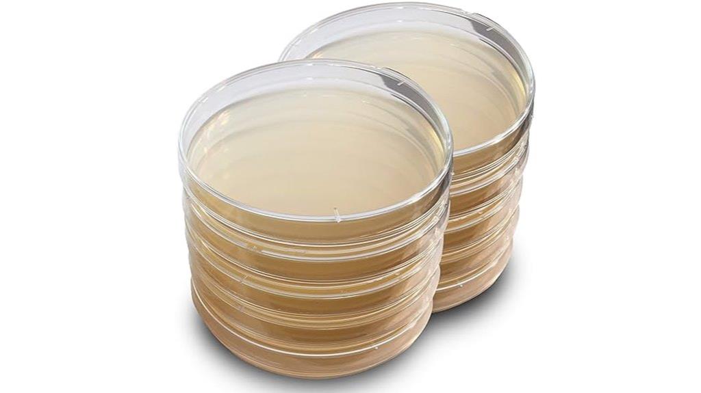 lb agar plates available