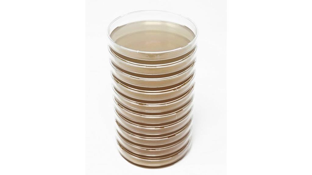 malt extract agar plates