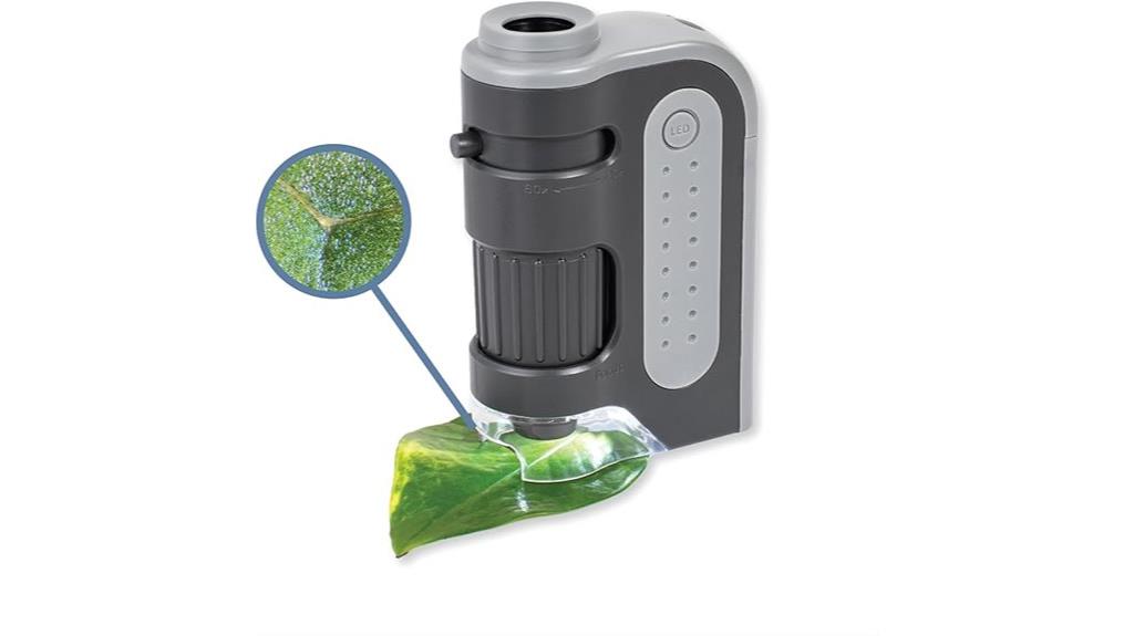 portable handheld magnifier