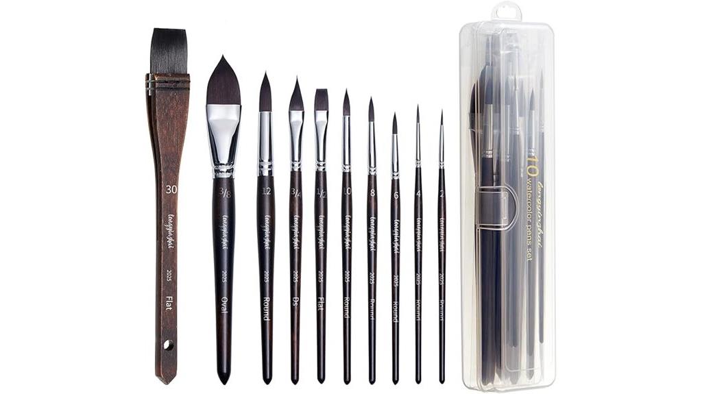 premium brush set with case