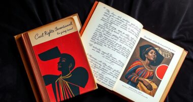 premium civil rights art books
