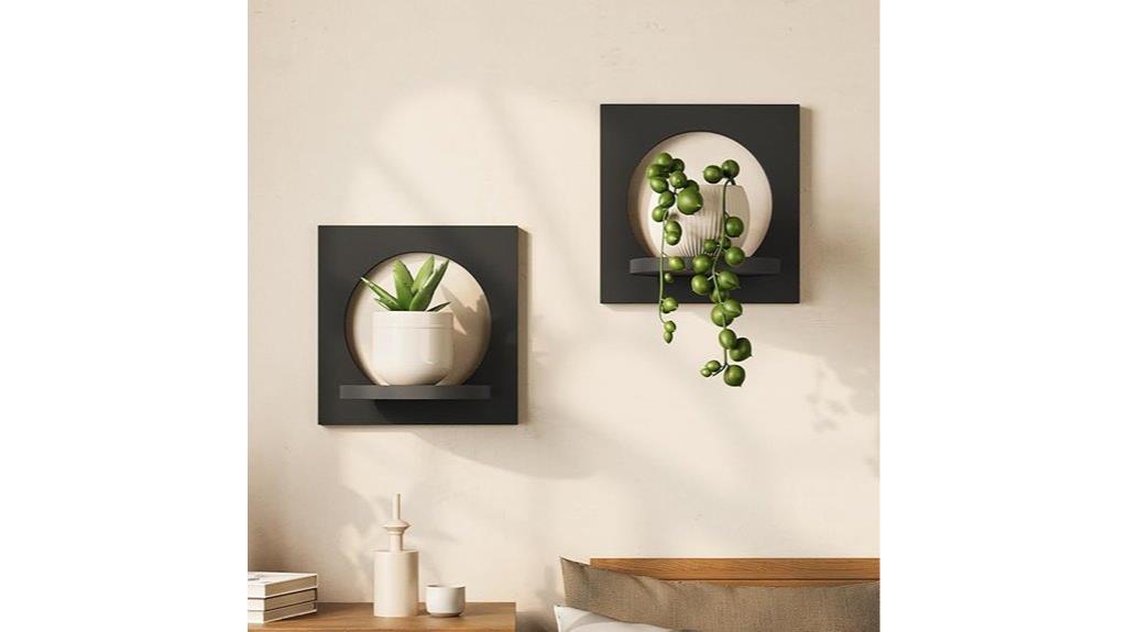 wall mounted plant hangers