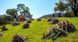 eco art ethics balance