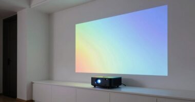 effective and flawed projectors