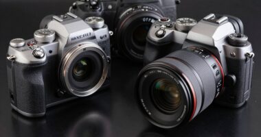 top dslr art reproduction cameras