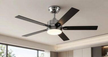 top large room ceiling fans