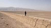 art explores borders and distance