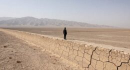 art explores borders and distance
