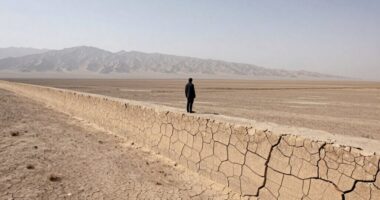 art explores borders and distance