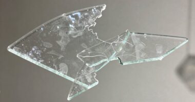 artists use fragile materials