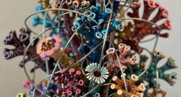 innovative art through transformation