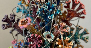innovative art through transformation