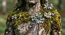 living materials challenge permanence