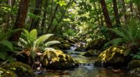 nature imagery alleviates stress