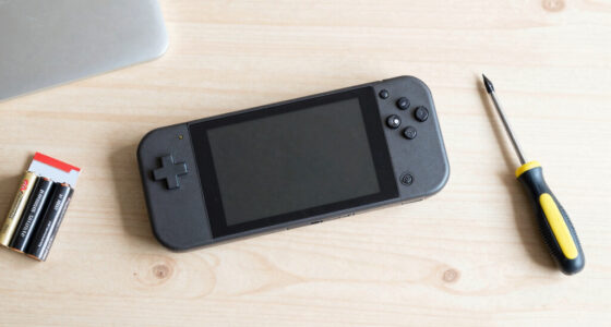 Nintendo Announces New Product Revisions In Europe With Replaceable Batteries